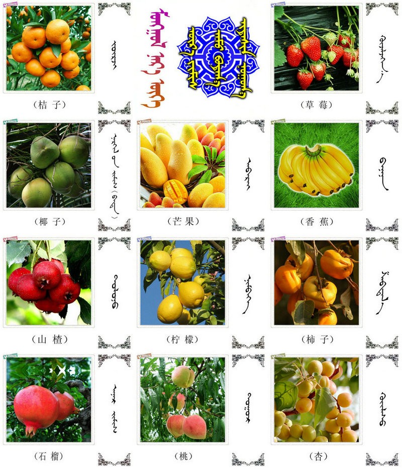 名词合集:水果.蔬菜.粮食.食材的名称81种(蒙古文 汉语)