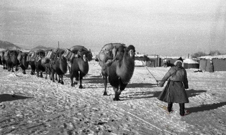 「印迹」50年代蒙古国人民的文化生活老照片 电影 小提琴 收音机一应俱全