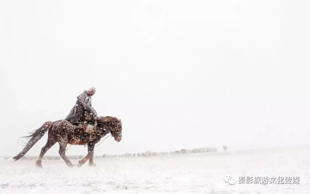 摄影师泰勒魏德曼关于蒙古游牧生活的作品