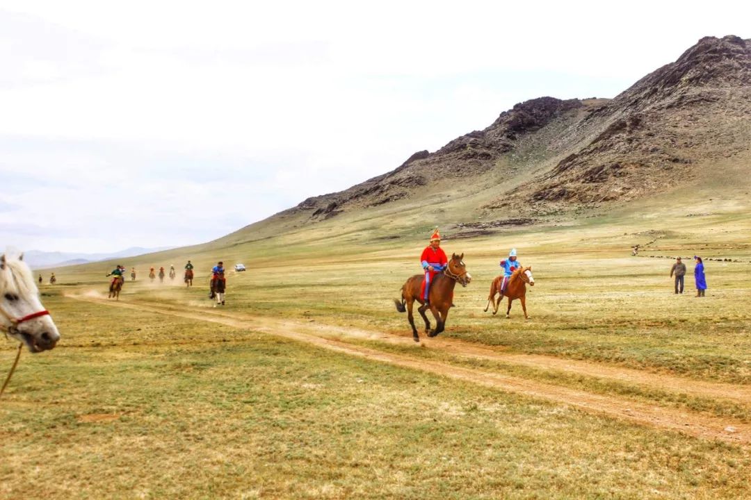 一组照片让你感受真正的蒙古游牧生活 ...