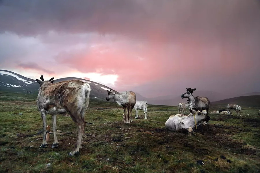 蒙古游牧生活，难以捉摸的美