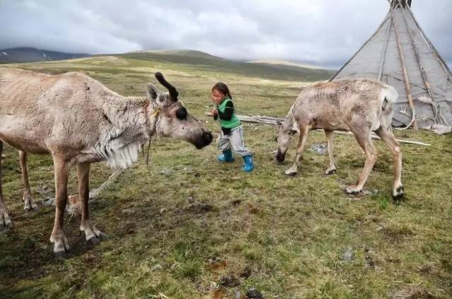 生活在靠近北极的乌兰泰加地区蒙古人