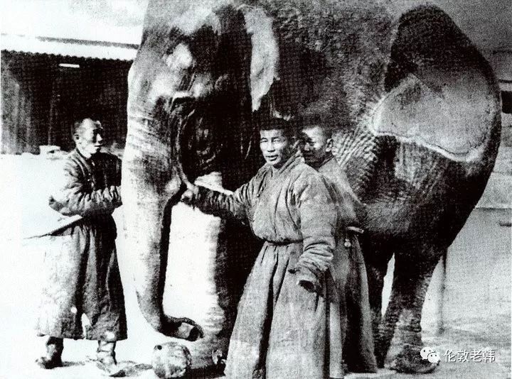 蒙古往事：博格多汗的大象