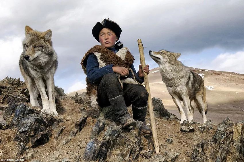 【游牧印象】浪漫与艰辛：一个你不曾了解的蒙古 第11张