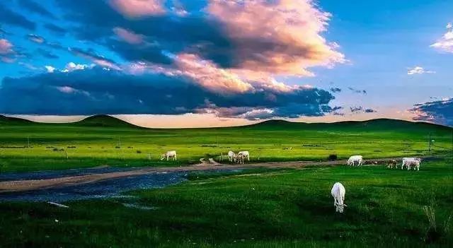 【今日头条】珍贵！内蒙古十二盟市老照片 快看看你的家乡 第74张
