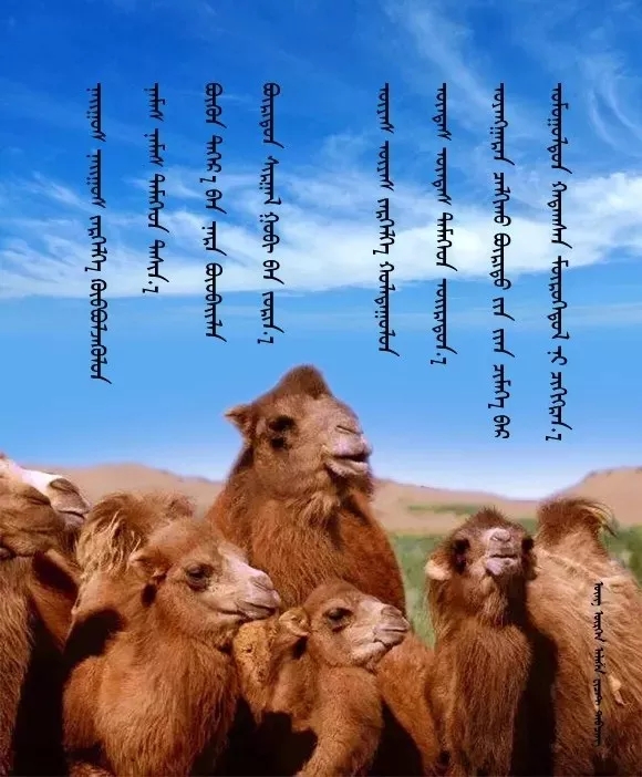 ◈ 蒙古歌词100首（第2部） 第10张
