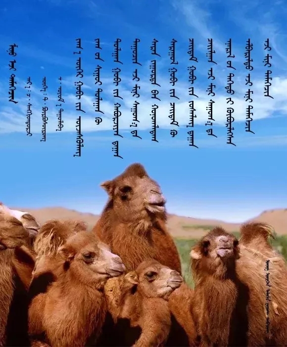 ◈ 蒙古歌词100首（第2部） 第19张