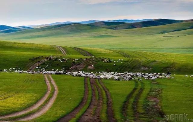 蒙古草原夏季美景图集，太美了 第15张