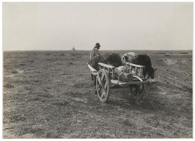1924年的内蒙古通辽，老照片记录的是故事！ 第7张