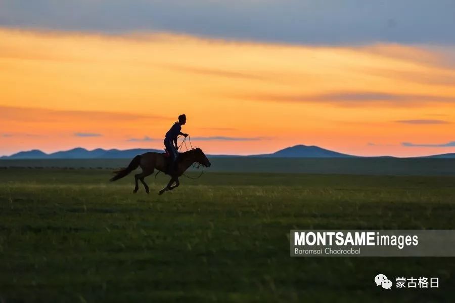 蒙古国举办“今日蒙古”多国摄影作品展 第19张