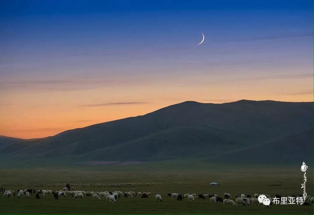 到了蒙古草原上，本身就活成了诗 第57张