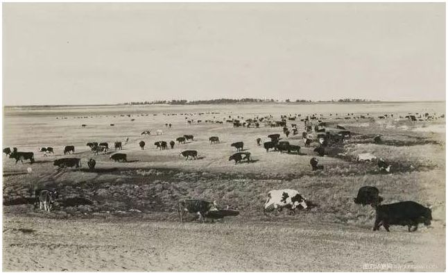 民国老照片 | 1925 — 1935年的内蒙古呼伦贝尔 第12张