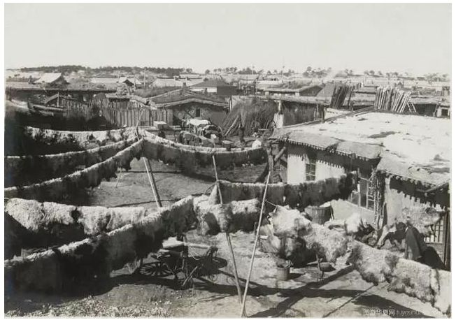 民国老照片 | 1925 — 1935年的内蒙古呼伦贝尔 第31张