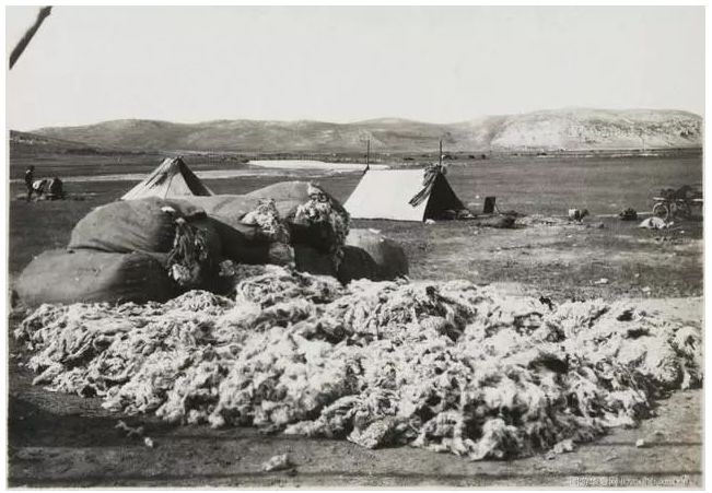 民国老照片 | 1925 — 1935年的内蒙古呼伦贝尔 第47张