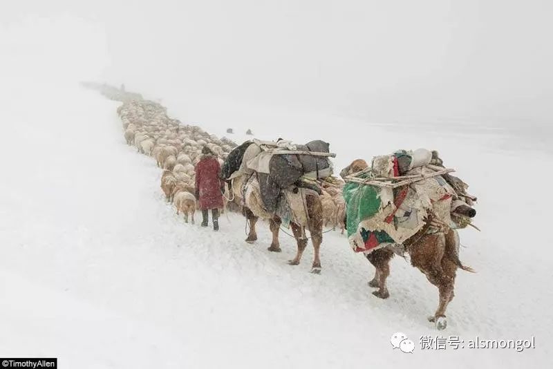 【摄影】蒙古冬季美景