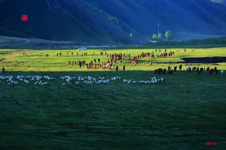 游牧转场——传承千年的草原古老文明
