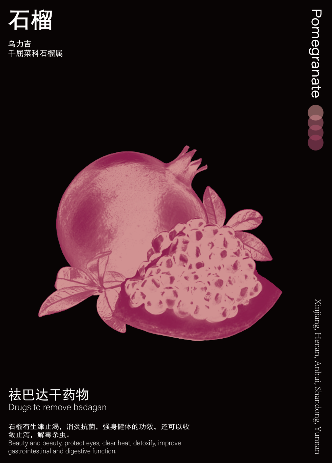石榴_画板 1.png