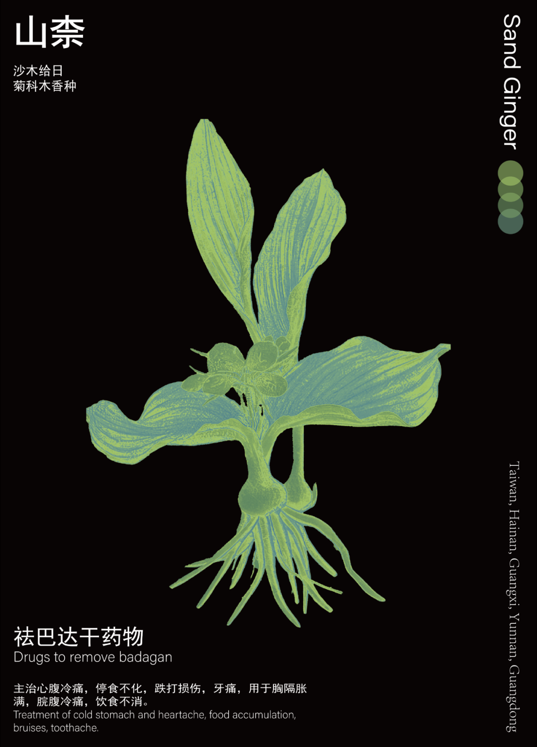 山柰_画板 1.png