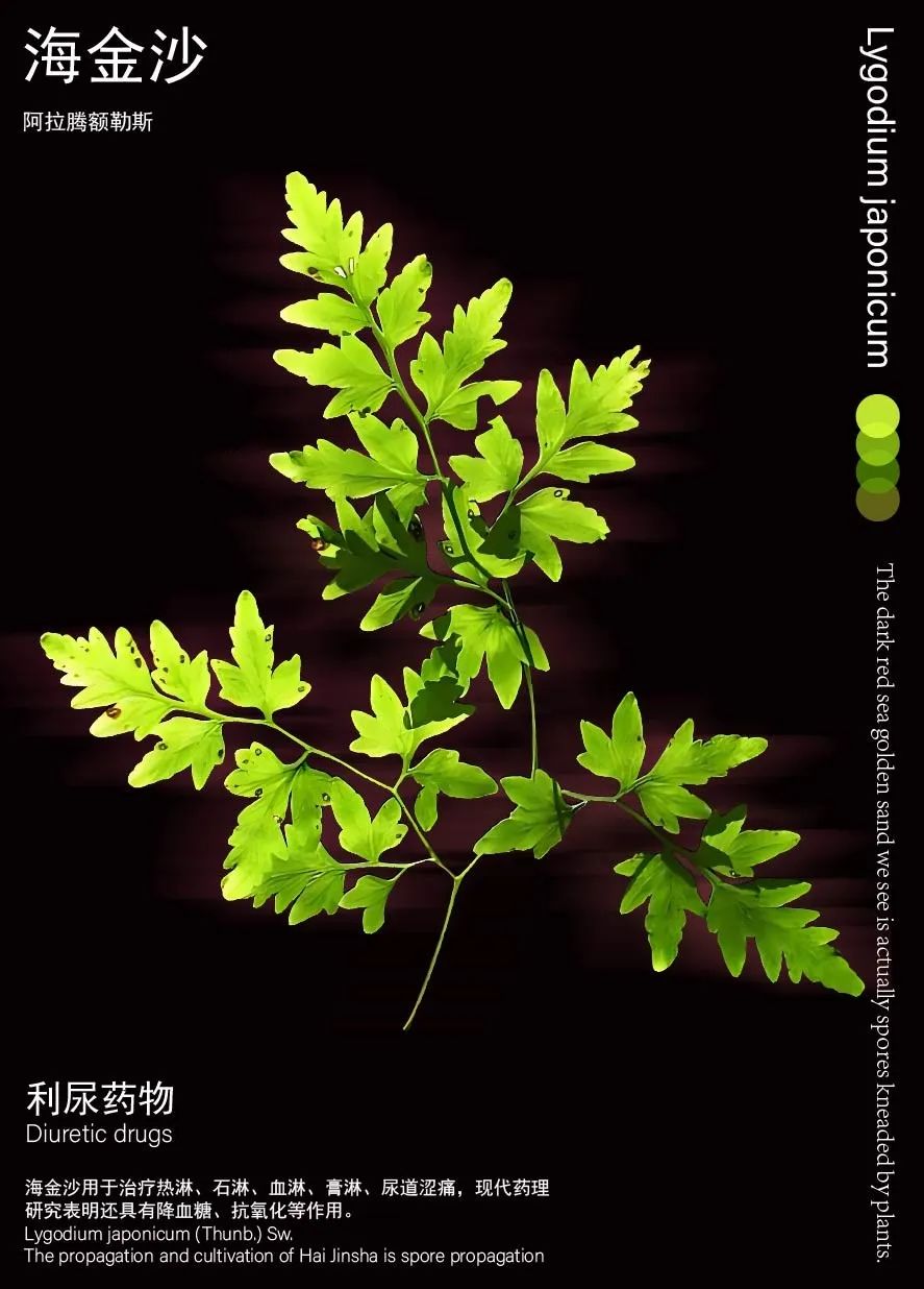 第十章_画板 1-03.jpg