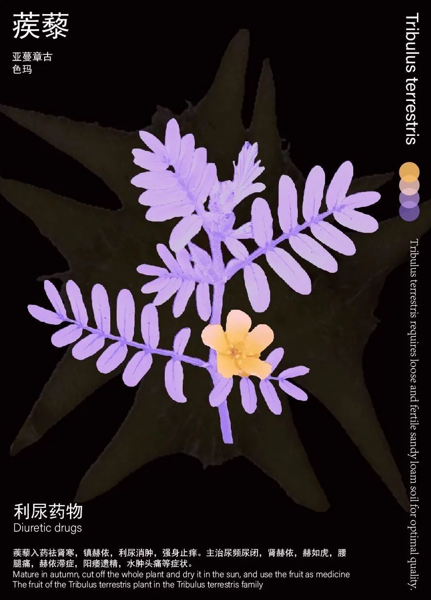 第十章_画板 1-08.jpg
