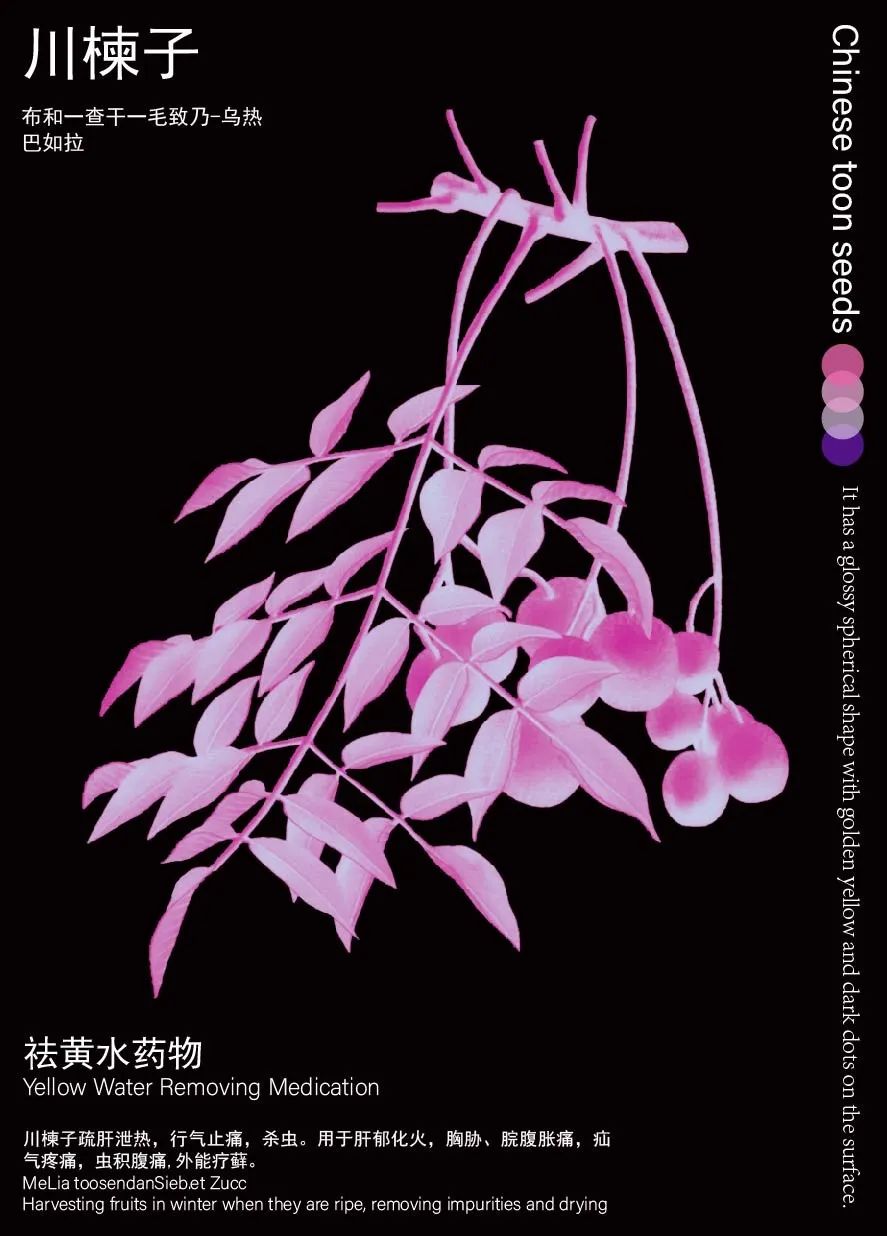 第五章_画板 1-02.jpg