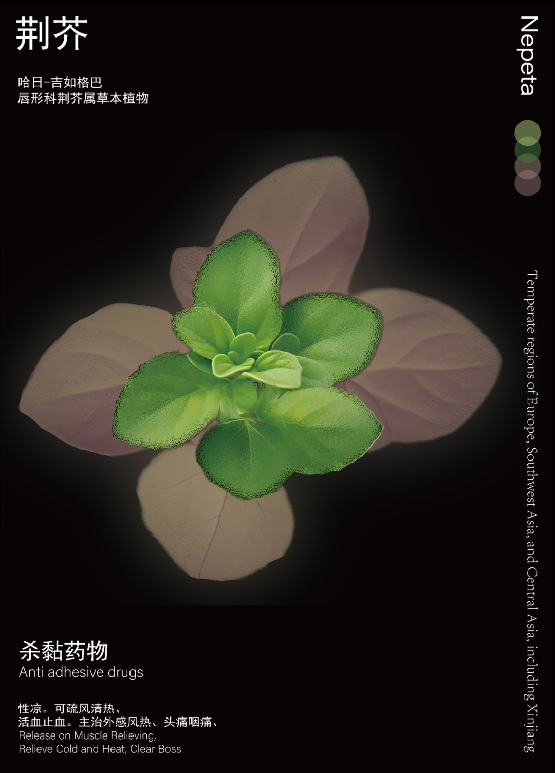 模板_复制_2.png