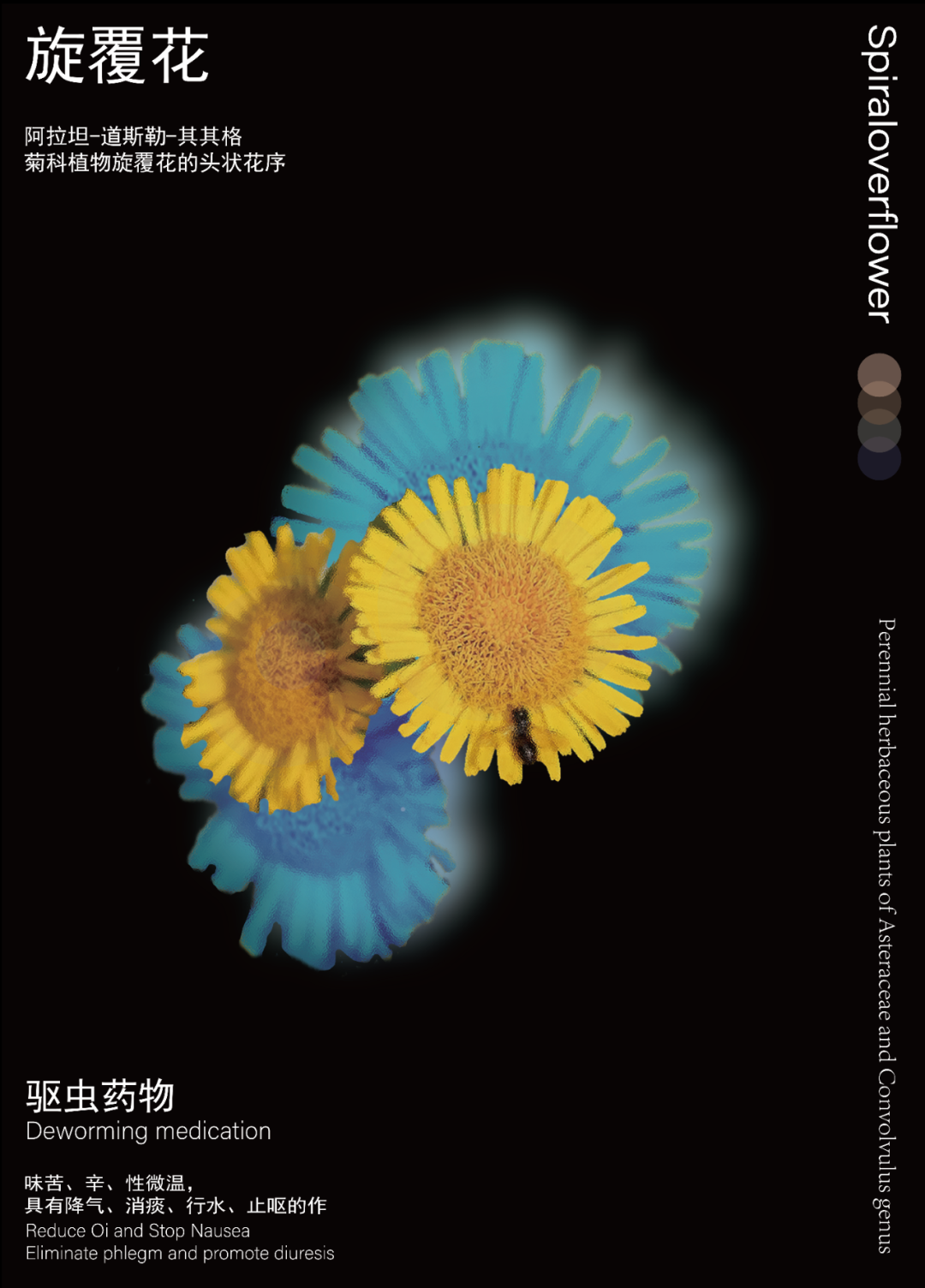 模板_复制_5.png