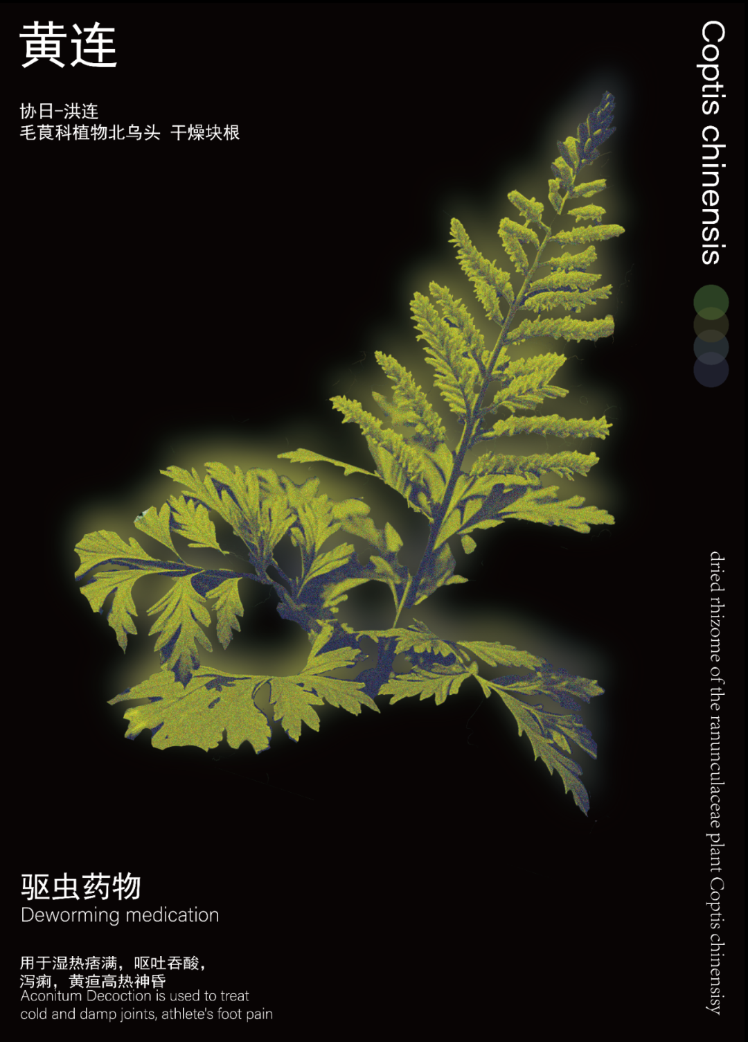 模板_复制_4.png